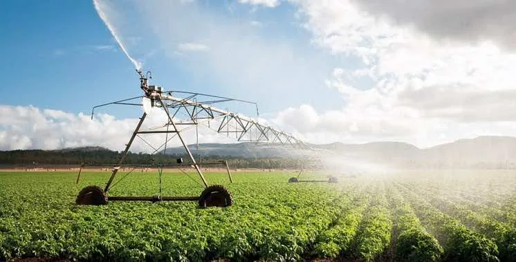 Morocco’s DGI Reveals Agricultural Tax Exemptions Applicable in 2026